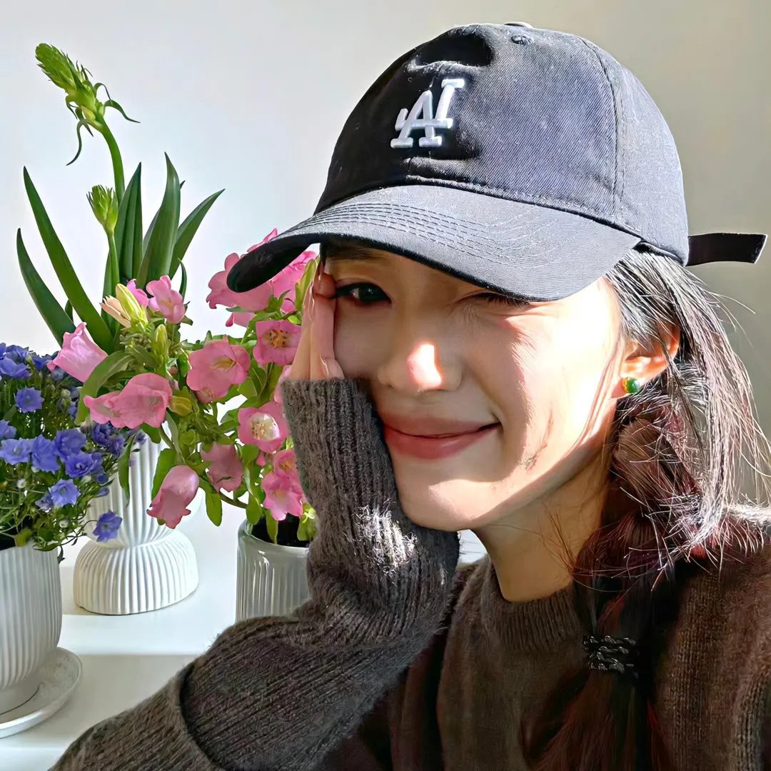我家的陌生人 海报
